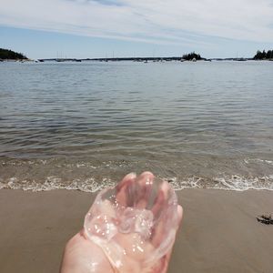 Meet your Posher, Vannessa